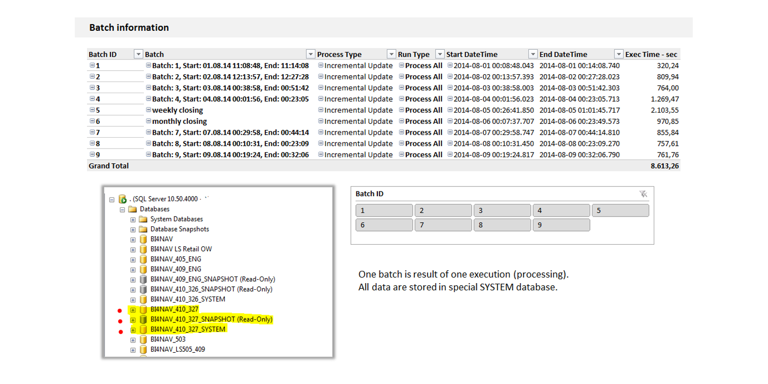 BI4Dynamics Pofiler Snapshot Badge Table