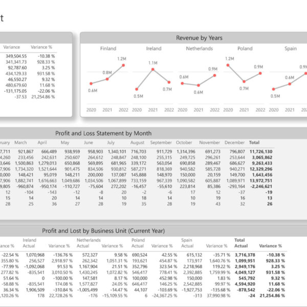 Profit and Loss by Month and Business Unit Dashboard